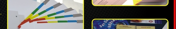 Rapid_Graphix_Services5